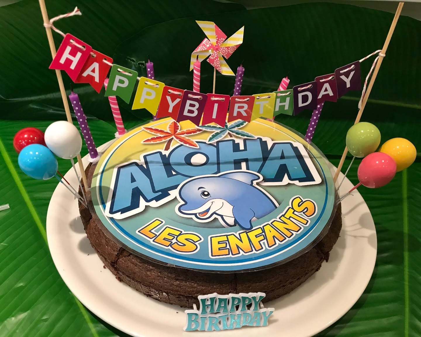Gâteau d’anniversaire hawaïen aloha pour enfants, décor dauphin et bougies colorées à Bordeaux